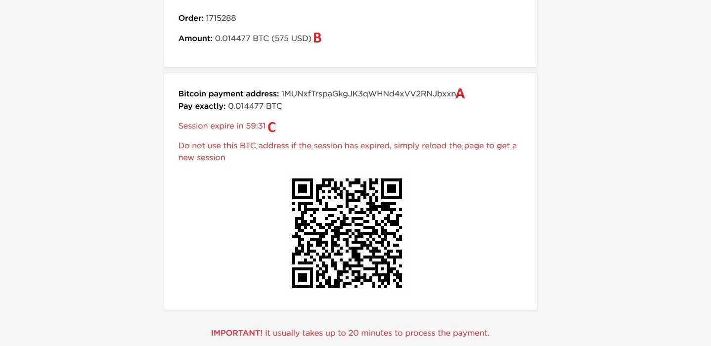 bitcoin payment