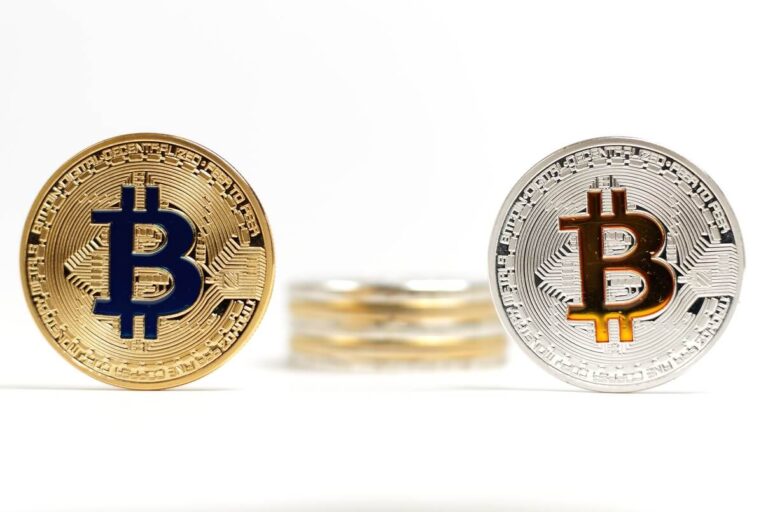Bitcoin Payments bitcoins
