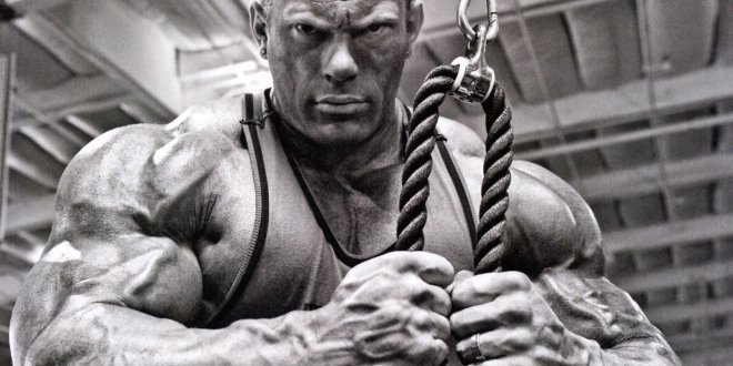 bodybuilding photos