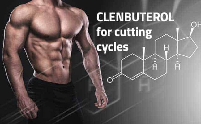 clenbuterol cycles