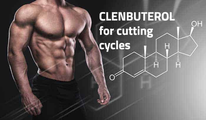 clenbuterol cycles