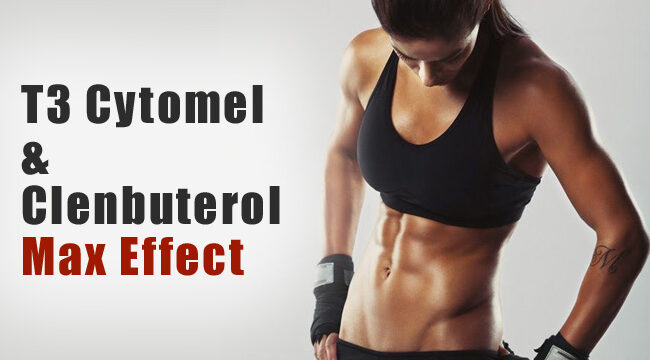 clenbuterol stacks