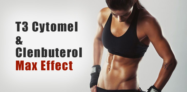 clenbuterol stacks