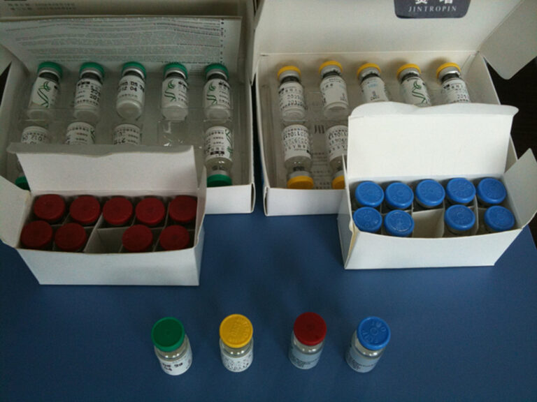 Online Stores: the Easiest Approachable Platform to Buy Quality Peptides peptides