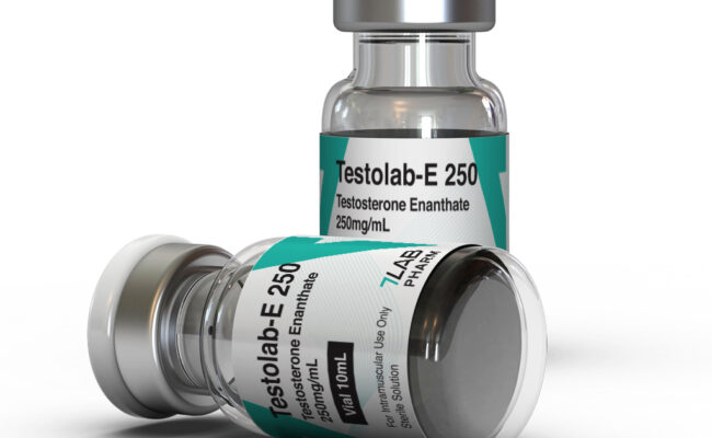 testolab-e 250 review